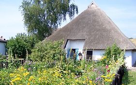 Ferienhaus Zaunkönig FeWo EG Terrasse und Garten, etwas Meerblick